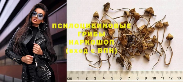 стафф Карталы