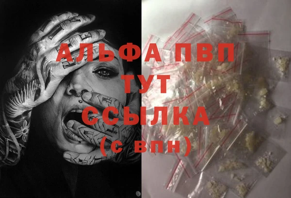 ECSTASY Лагань