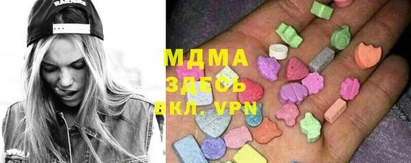 гашик Каменка