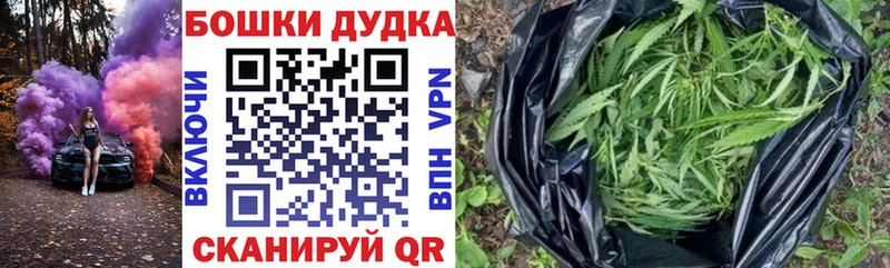 Марихуана ГИДРОПОН купить закладку Козловка